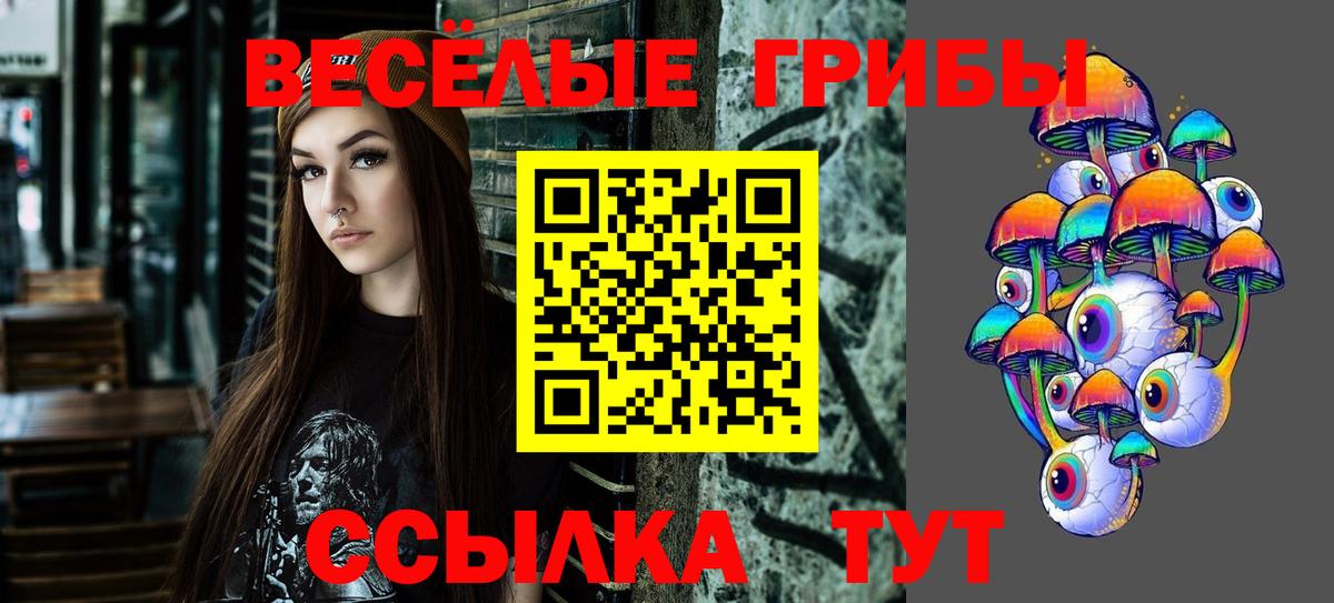 Псилоцибиновые грибы прущие грибы  Галлюциногенные грибы MAGIC MUSHROOMS  Вход с VPN  Новошахтинск 